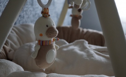 Quel est le concept de base de la théorie de l&rsquo;attachement Bowlby ?