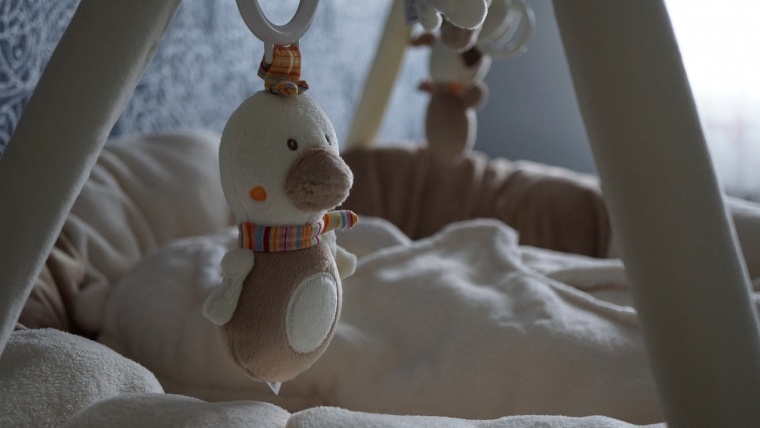 Quel est le concept de base de la théorie de l&rsquo;attachement Bowlby ?