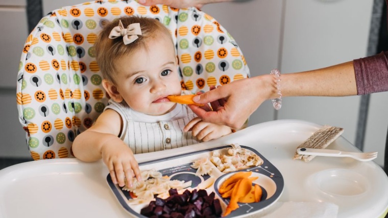 Quel aliment introduire à 7 mois ?